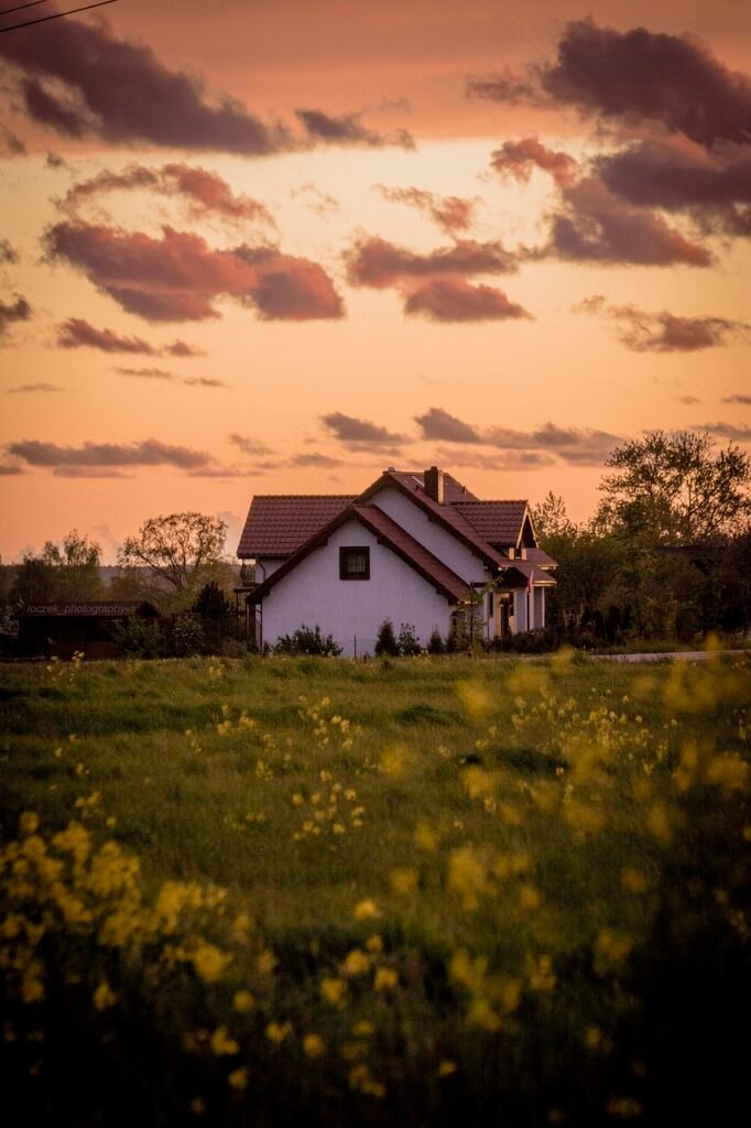house, meadow, flower wallpaper